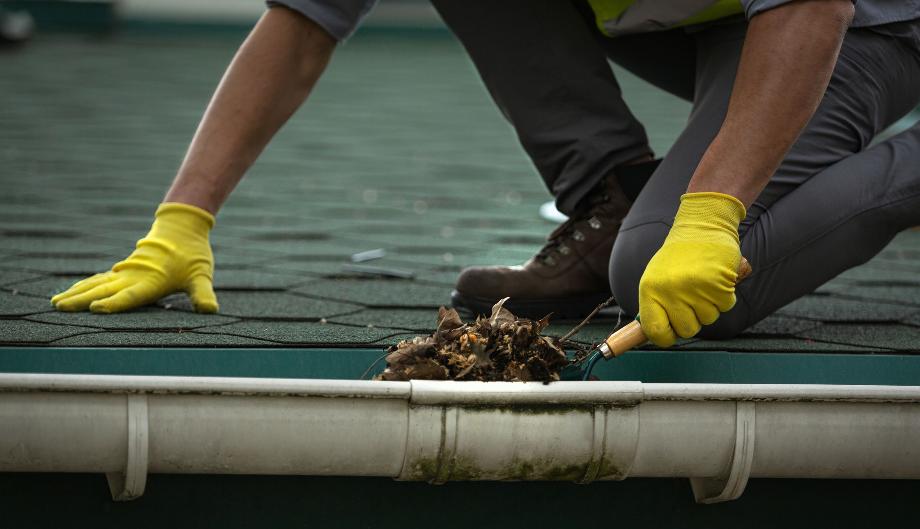 Gutter Cleaners