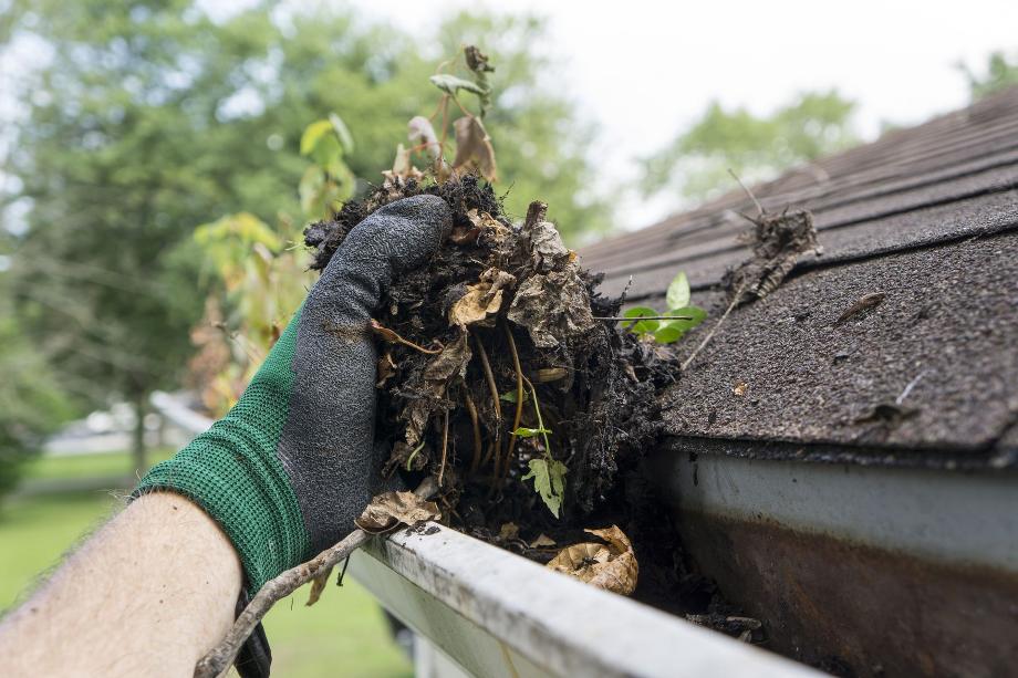 Gutter Cleaning Protects Homes from Damages Gutter Cleaning Protects Homes from Damages
