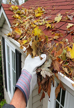 Gutter Cleaning Services Gutter Cleaning Services