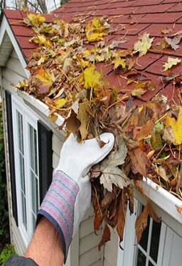 Gutter Cleaning Services